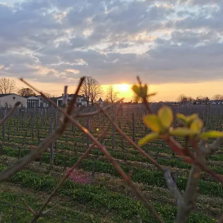 Keystone Biba * Libourne