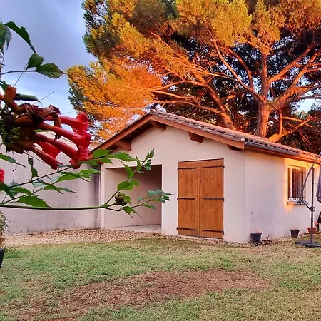 Keystone Biba Apartment Libourne
